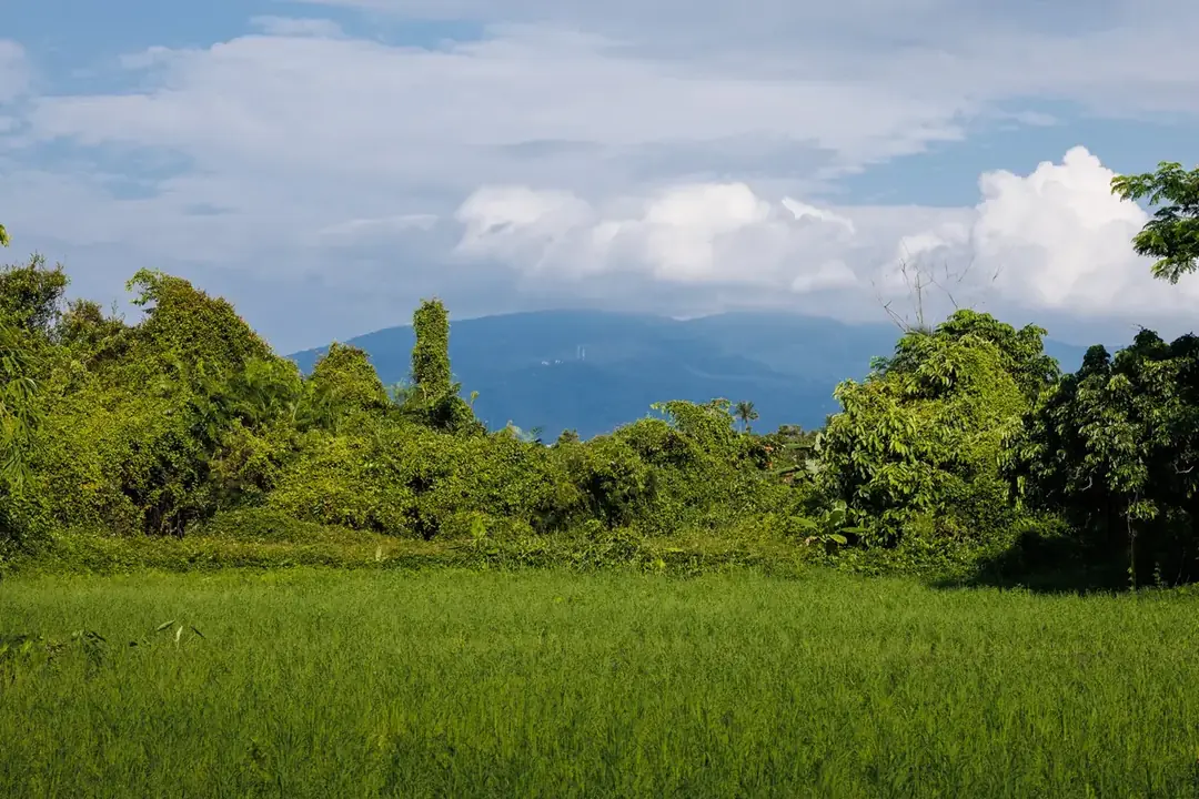An artistic farm landscape for photography