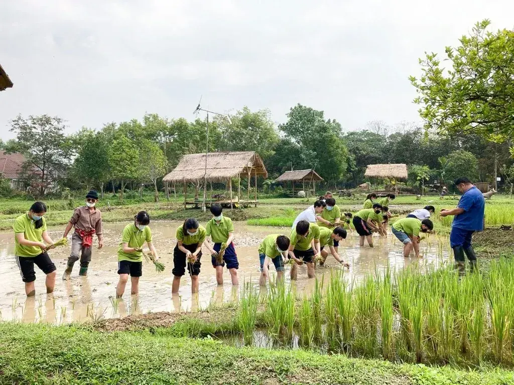 A calm school field trip at the farm