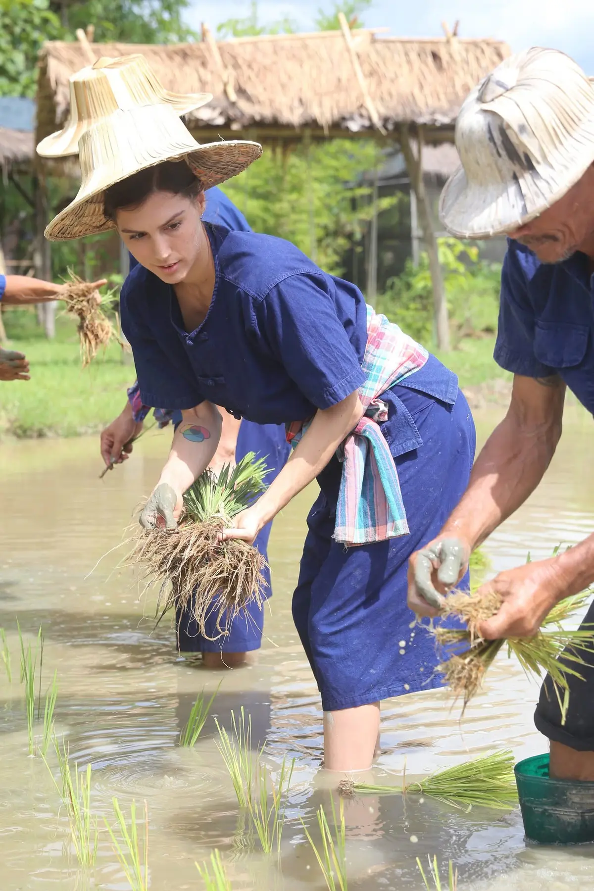 International adult guests planting rice at Hang Tueng Farm