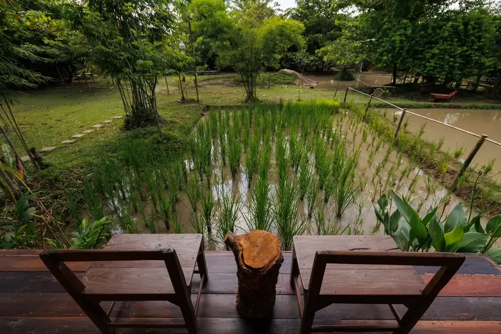 E-Tan Cottage photo 4