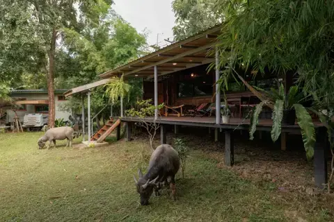 Hani Bahei photo 1