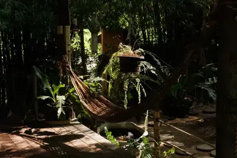 Hani Bahei photo 14