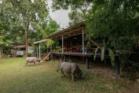 Hani Bahei photo 18