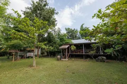 Hani Bahei photo 20